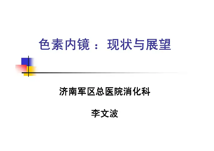 色素内镜-现状与展望-李文波