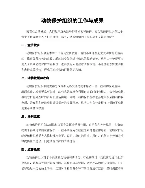 动物保护组织的工作与成果