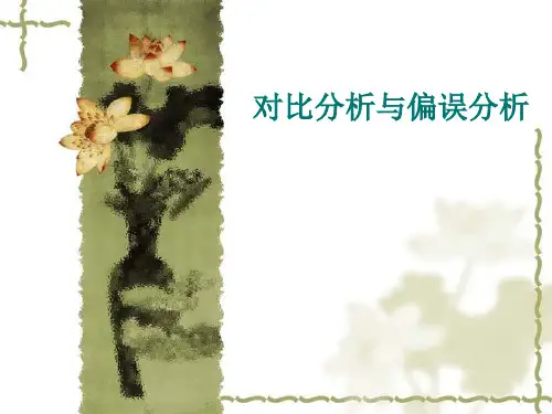6.1 对比分析与偏误分析