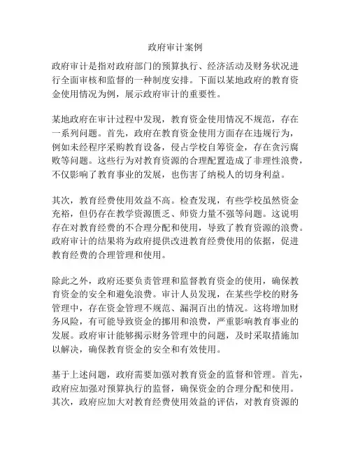 政府审计案例