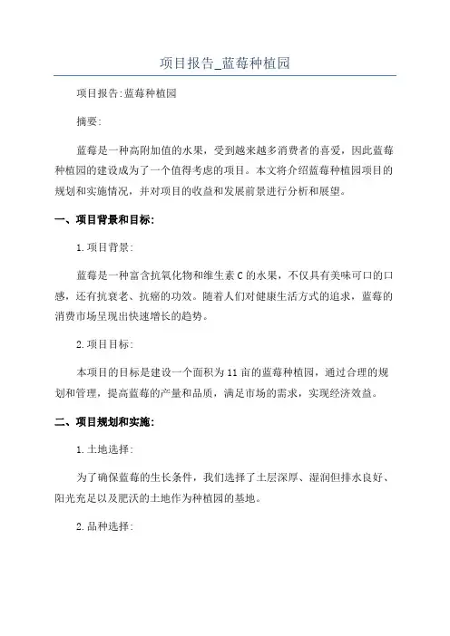 项目报告_蓝莓种植园