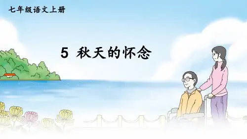 第5课《秋天的怀念》课件(共22张)统编版语文七年级上册