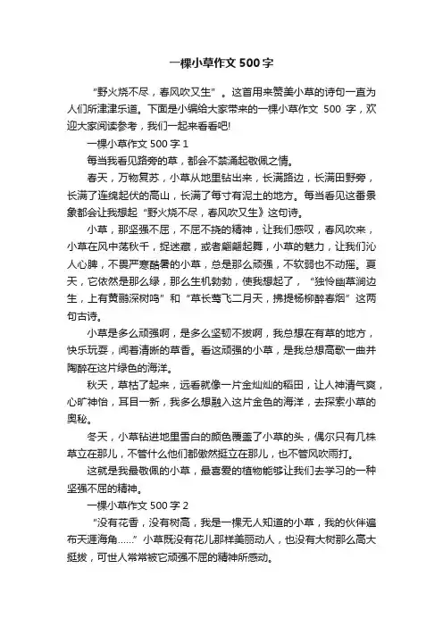 一棵小草作文500字