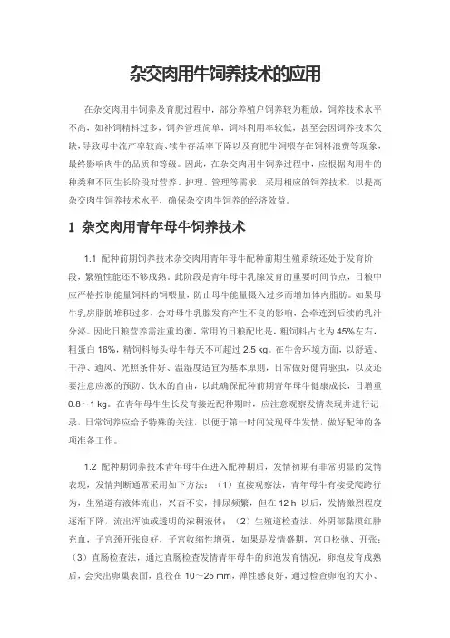 杂交肉用牛饲养技术的应用