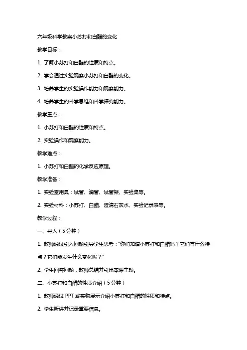 六年级科学教案小苏打和白醋的变化