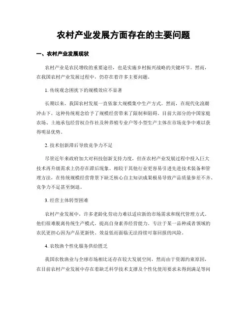 农村产业发展方面存在的主要问题