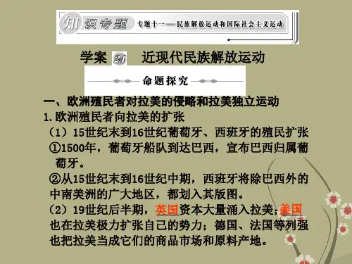 高三历史高考二轮复习专题课件24近现代民族解放运动