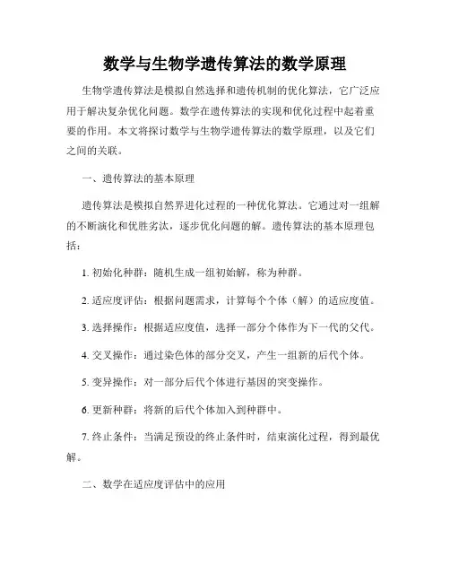 数学与生物学遗传算法的数学原理