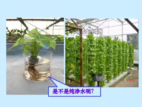 人教九年级化学下册第9单元1溶液的形成(共15张PPT)