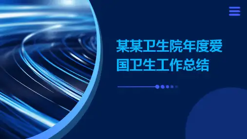 某某卫生院年爱国卫生工作总结PPT