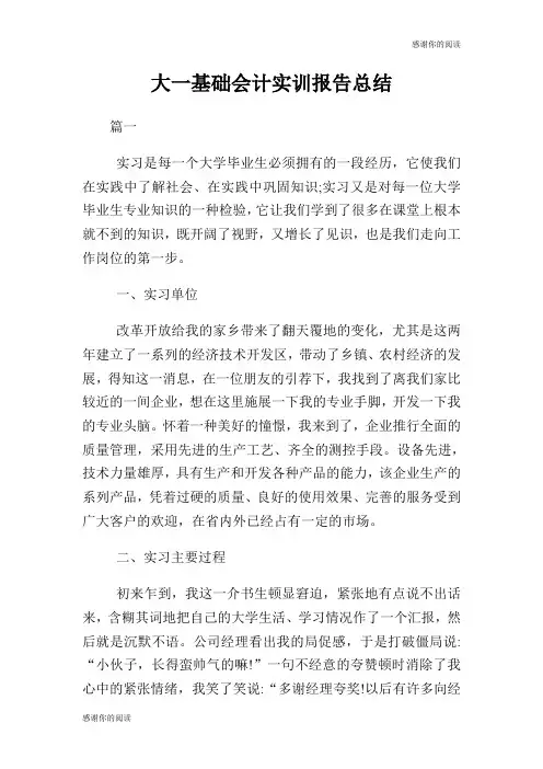 大一基础会计实训报告总结.doc