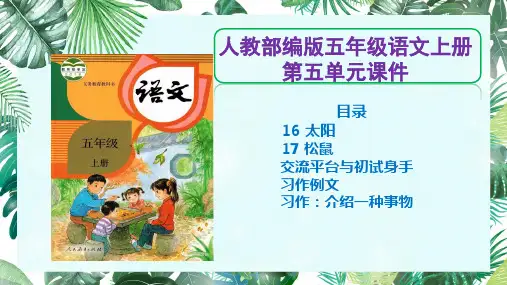 【五上部编版语文】全册第五单元课件PPT