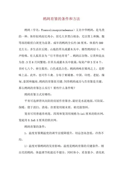 鹧鸪育雏的条件和方法