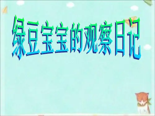 绿豆宝宝的观察日记ppt课件