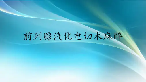 前列腺气化电切