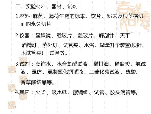 麻黄薄荷小茴香资料