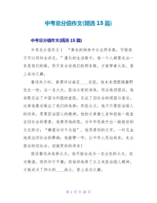 中考满分作文(精选15篇)