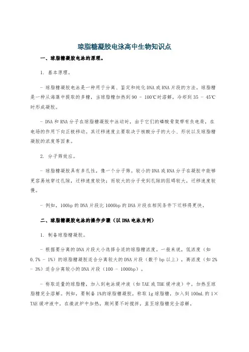 琼脂糖凝胶电泳高中生物知识点
