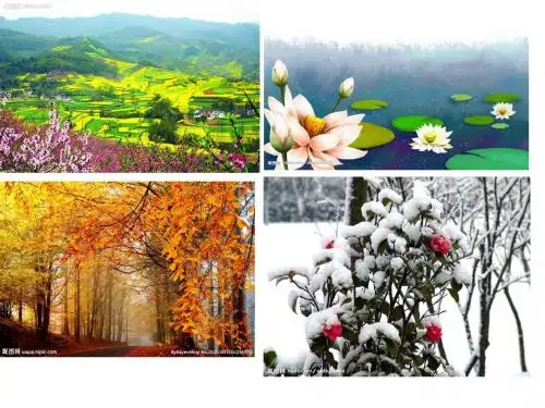 语文S版二年级上册《秋天》