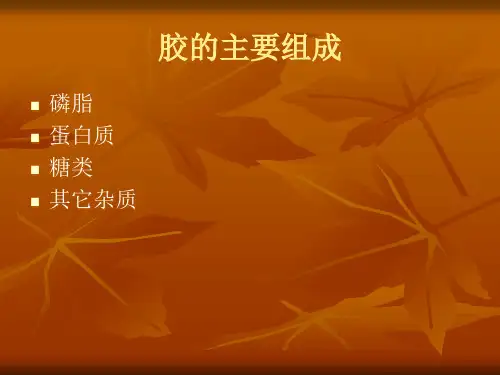 精选水化脱胶工艺