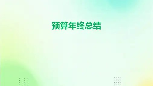 预算年终总结PPT