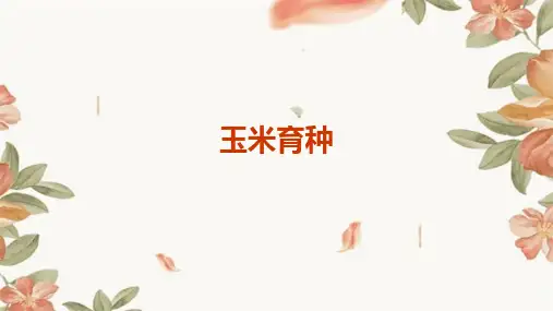 玉米育种玉米育种