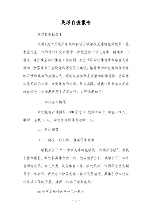 足球自查报告
