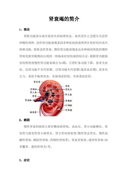 肾衰竭的简介