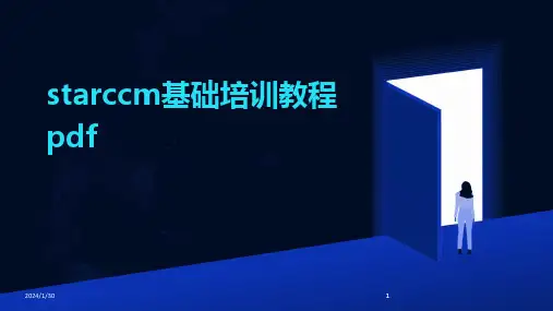2024版starccm基础培训教程pdf