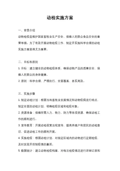 动检实施方案