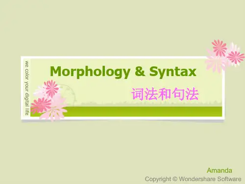 词法与句法