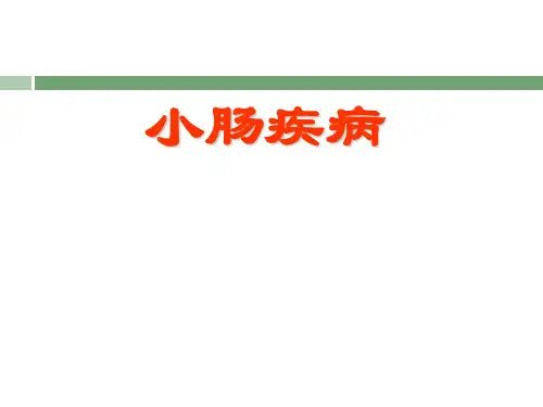 小肠疾病PPT课件