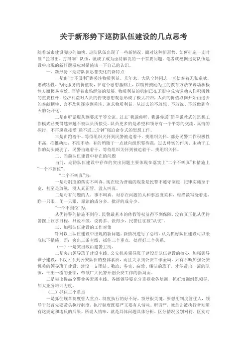 关于新形势下公安队伍建设的几点思考