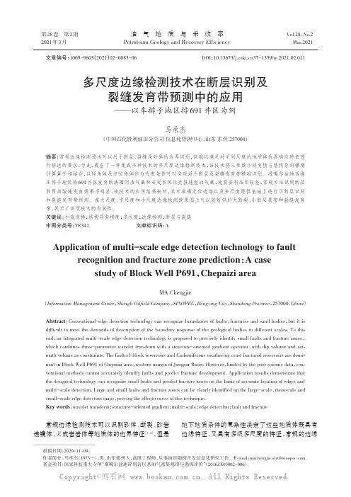多尺度边缘检测技术在断层识别及裂缝发育带预测中的应用——以车排子地区排691井区为例