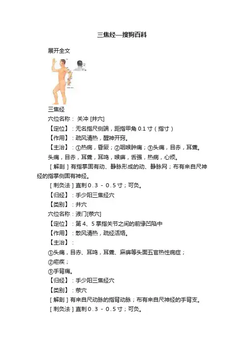 三焦经—搜狗百科