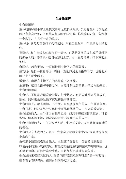 生命线图解（范本）