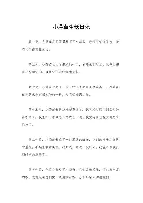 小蒜苗生长日记