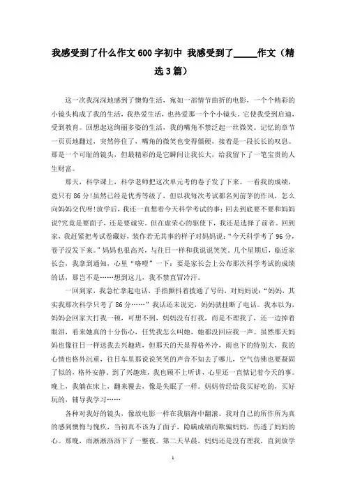 我感受到了什么作文600字初中 我感受到了_____作文(精选3篇)