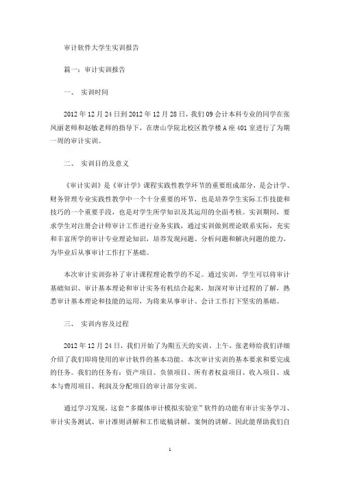 最新审计软件大学生实训报告