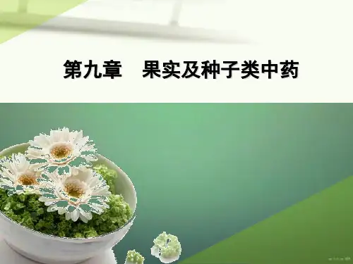 第九章果实种子类中药