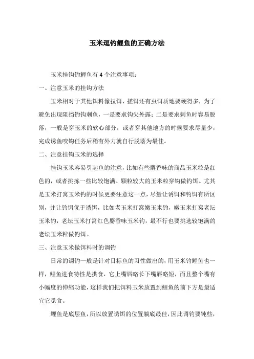 玉米逗钓鲤鱼的正确方法