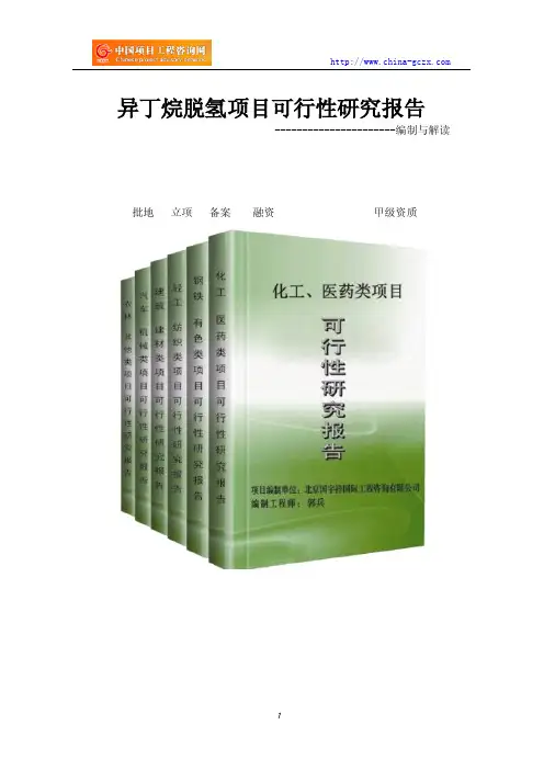 异丁烷脱氢项目可行性研究报告