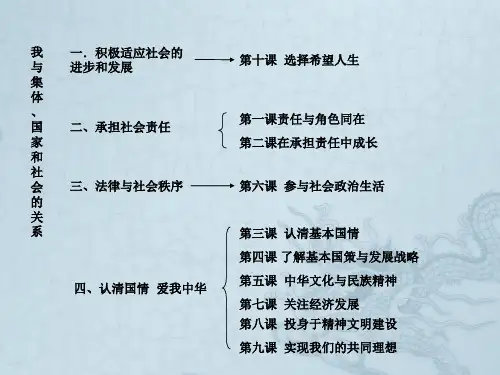 九年级政治总复习课件人教版