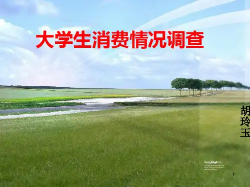 大学生消费情况调查问卷ppt课件