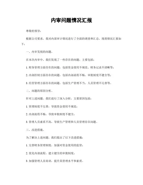 内审问题情况汇报