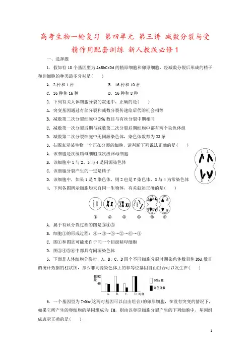 高考生物一轮复习 第四单元 第三讲 减数分裂与受精作用配套训练 新人教版必修1 