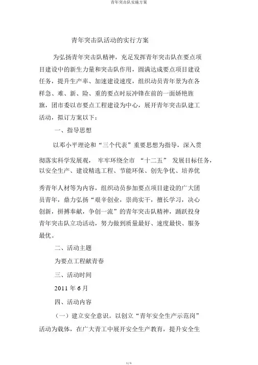 青年突击队实施方案