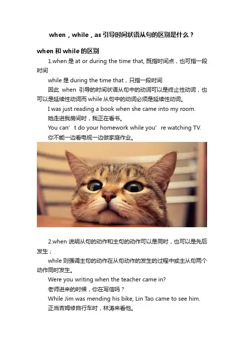 when，while，as引导时间状语从句的区别是什么？