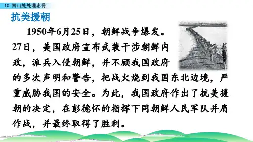 五年级语文下册《 青山处处埋忠骨》课件PPT