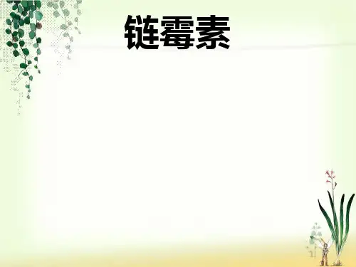 链霉素